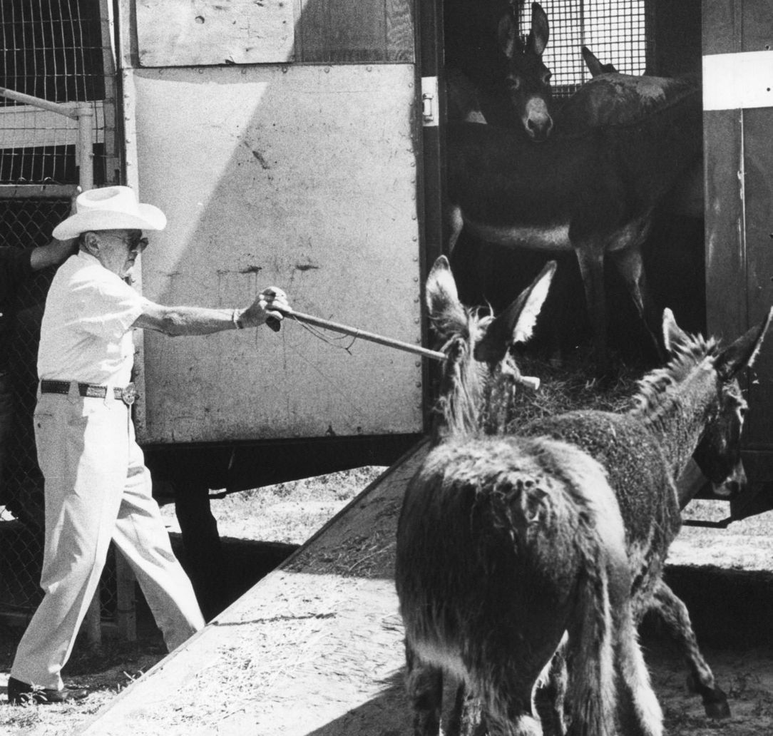 Grant's Farm in 1980